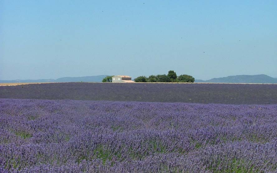 GBI Provence 2024 - GBI - unforgettable cycling tours